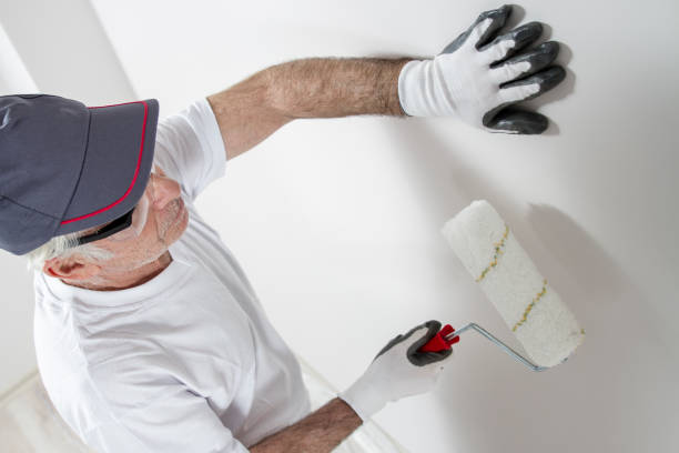 Best Drywall Repair  in Waverly, MI