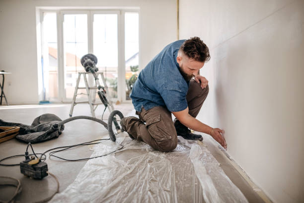 Best Drywall Removal and Disposal  in Waverly, MI